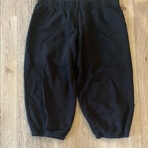 The North Face Black Jogger Track Pants with Elastic Waistband